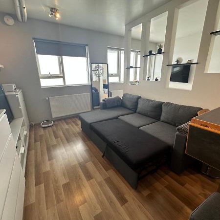 Entire Apartment Reykjavík Eksteriør billede