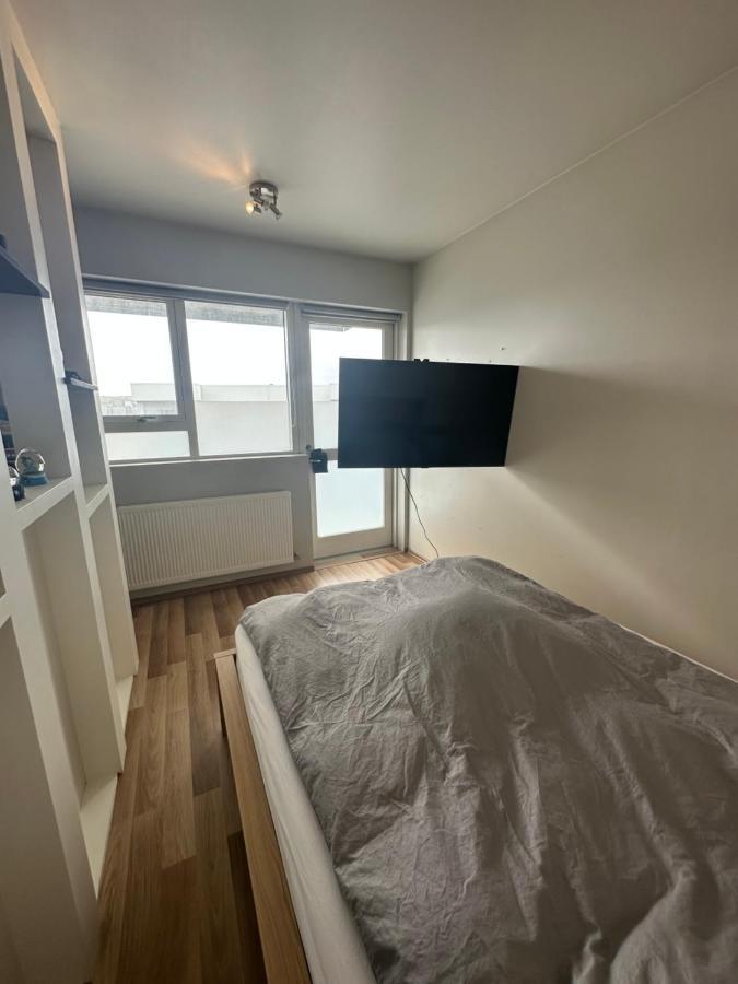 Entire Apartment Reykjavík Eksteriør billede