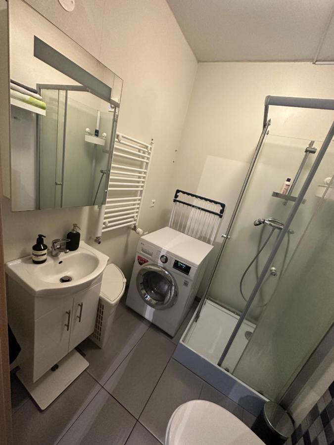 Entire Apartment Reykjavík Eksteriør billede